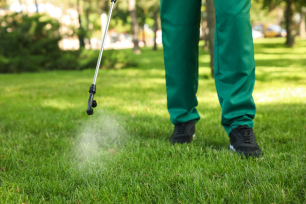 Flea Control Services in Ara, AL