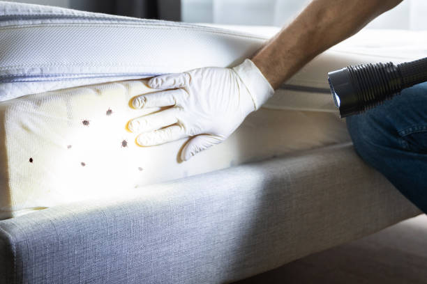 Pest Control for Restaurants in Ara, AL