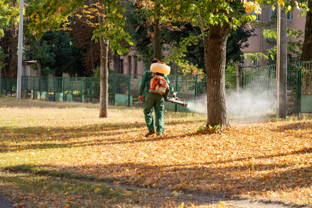 Best Cockroach Control Services  in Ara, AL