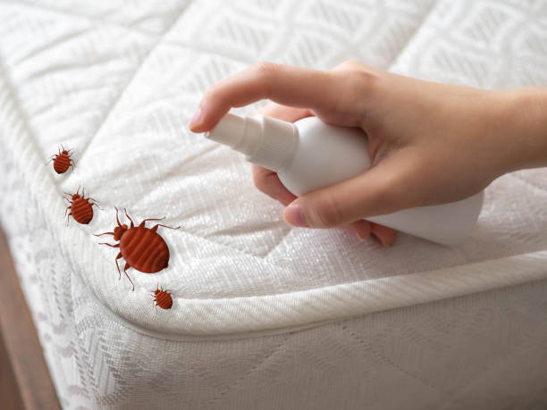 Best Pest Inspection Near Me  in Ara, AL