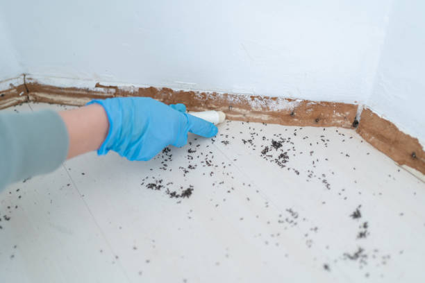 Best Pest Prevention Services  in Ara, AL